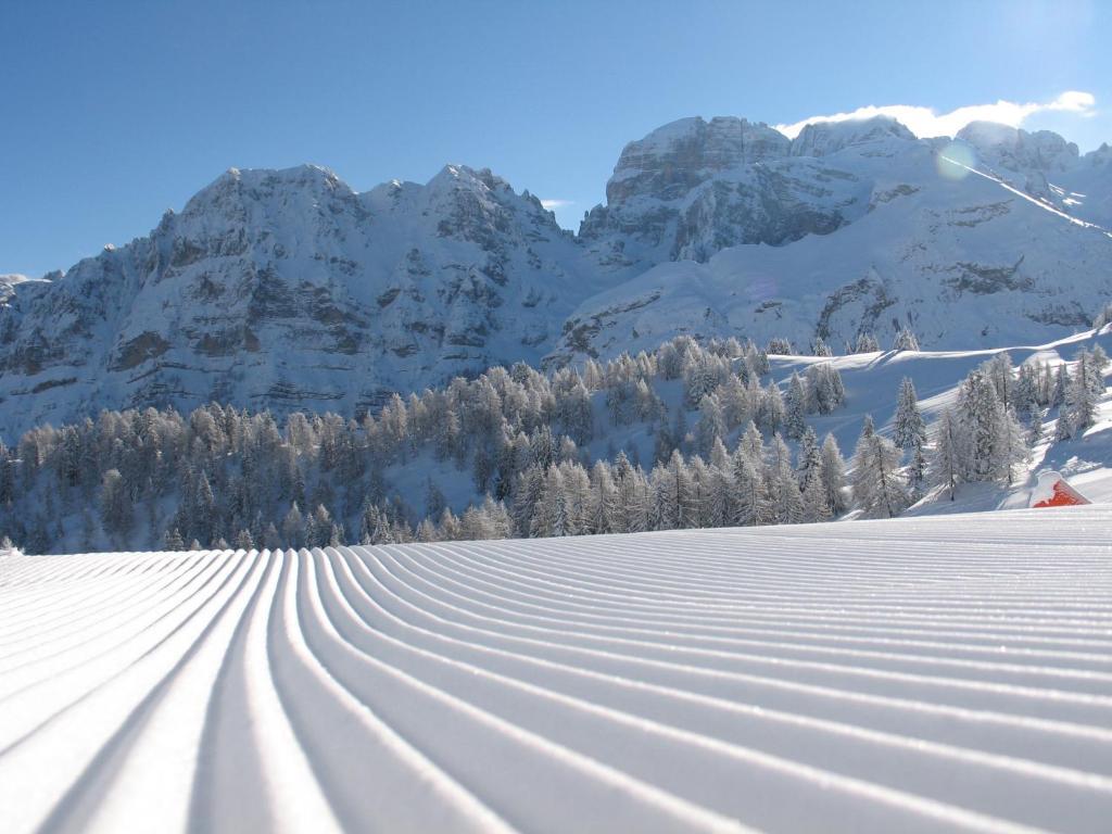 Chalet Fiocco Di Neve ピンツォーロ エクステリア 写真